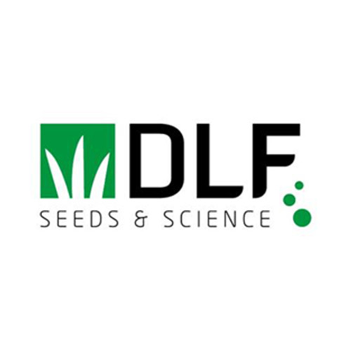 Teal Turf - DLF Logo