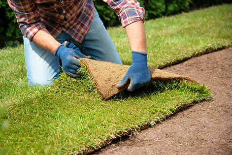 Teal Turf - Turf laying