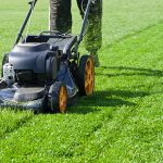 Teal Turf - Garden care mowing