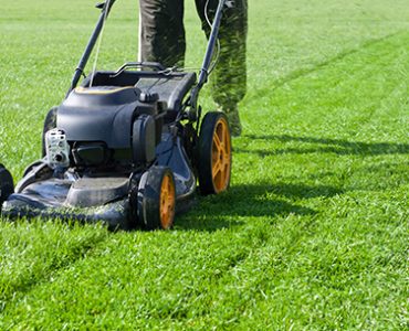 Teal Turf - Garden care mowing