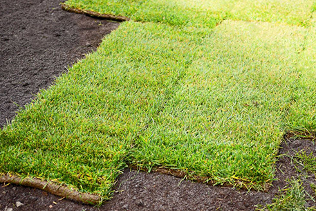 Teal Turf - Turf laying