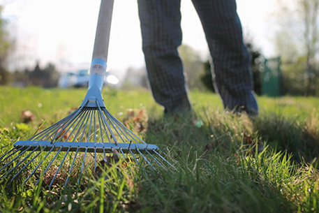 Teal Turf - Winter Care rake